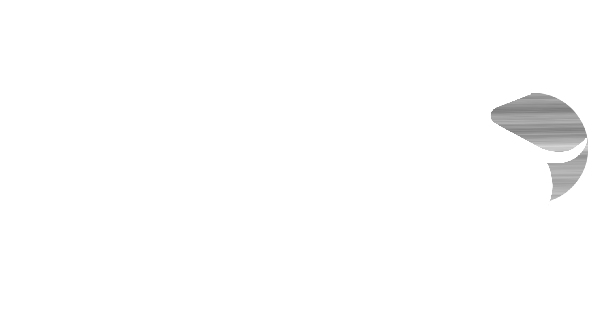Logo bull-white