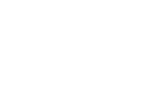 Lorrie handwritten white web icon